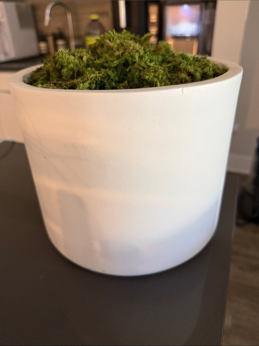 White Ceramic Planter with Green Moss Accent - Home Kitchen